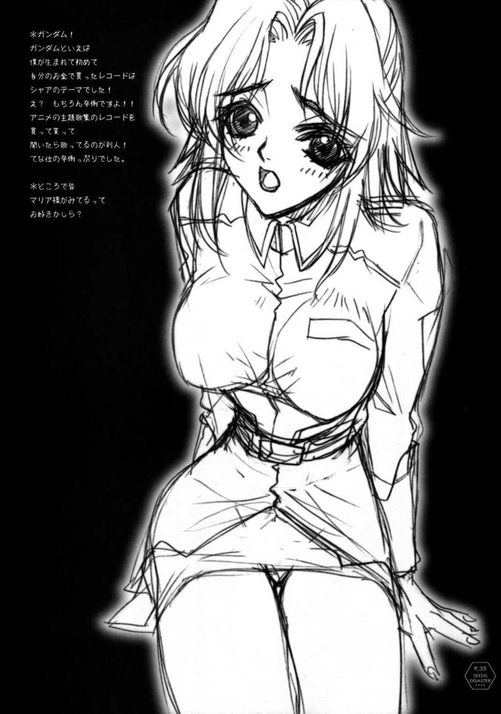 (C64) [Piggstar (Nagoya Shachihachi)] SEEDS OF DISASTER (Gundam SEED) - Page 34