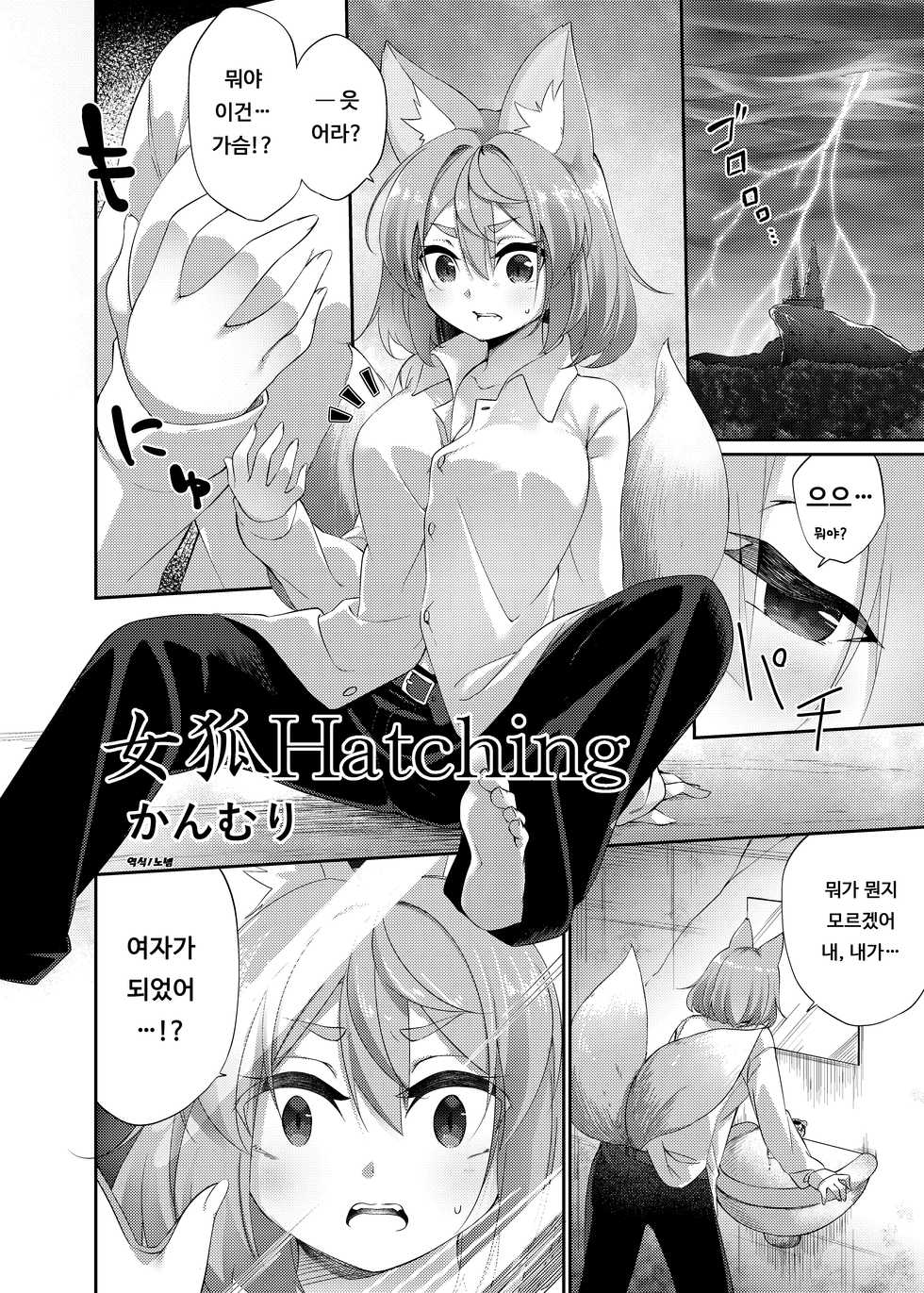 [Kanmuri] Megitune Hatching | 암컷 여우 Hatching [Korean] - Page 1