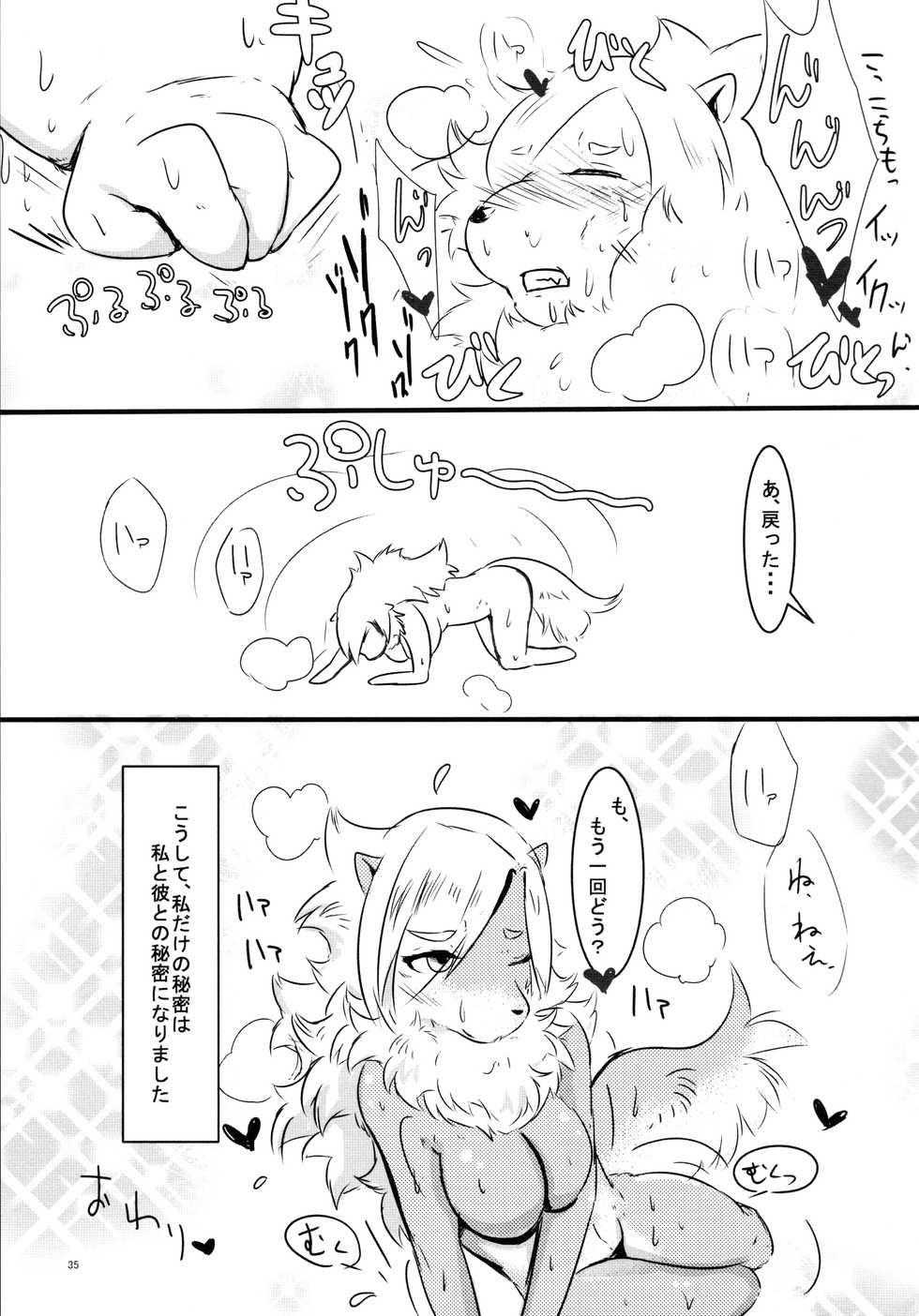 (Kemoket 5) [Kyou no Keiro (Pukkunn)] Oatsui no ga Osuki!? - Page 35