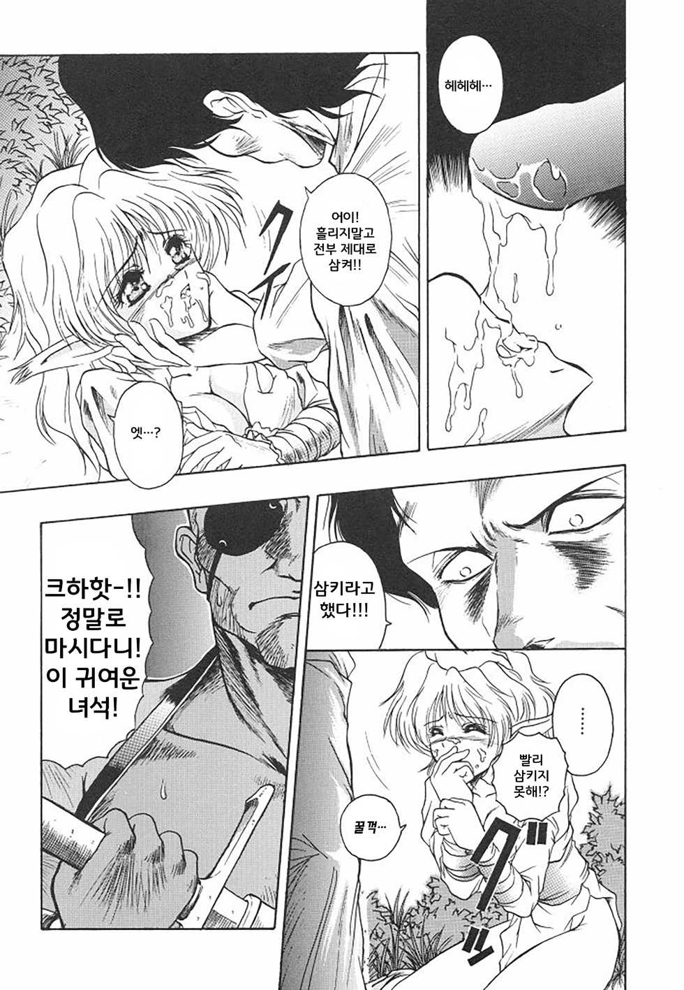 [Orizumeda Nyoizou] DANGAROUS KIND (Mitsuryou) [Korean] - Page 11