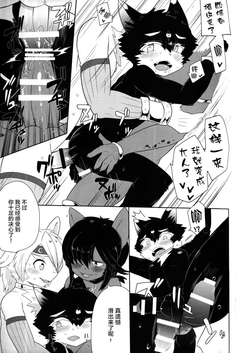 (Kemoket 6) [Santama (Gaku)] Neko no Ou Shishi no Ken Hen [Chinese] [悬赏大厅x新桥月白日语社汉化] - Page 20
