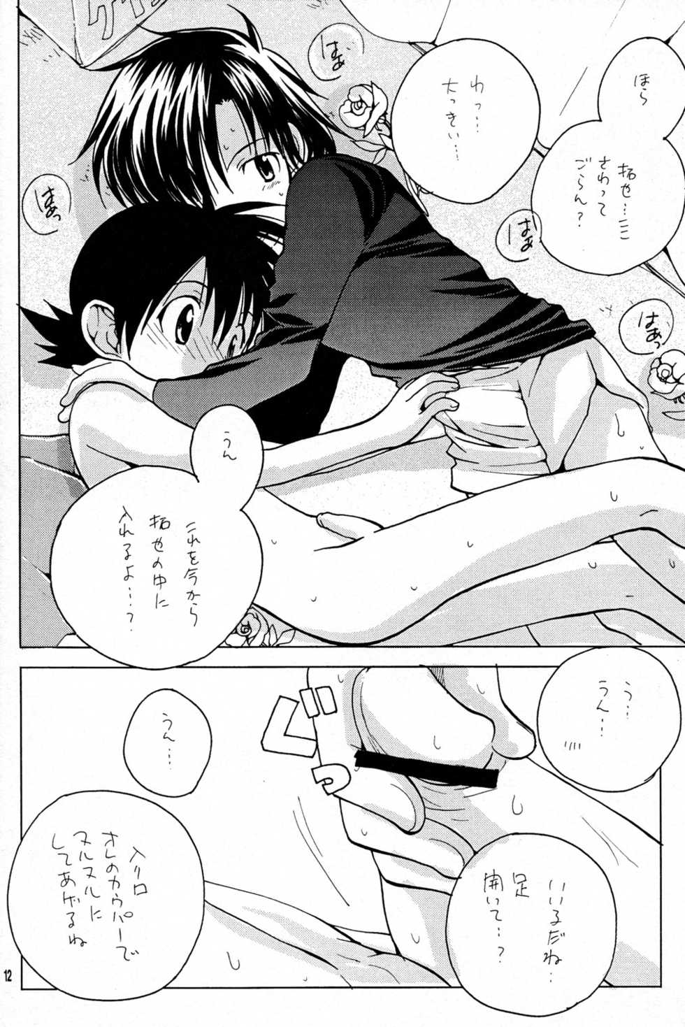 [KuruGuru DNA, Tomato Surprise (Hoshiai Hilo, Futtsu Misaki)] Yasashiku Piston (Digimon Frontier) - Page 12