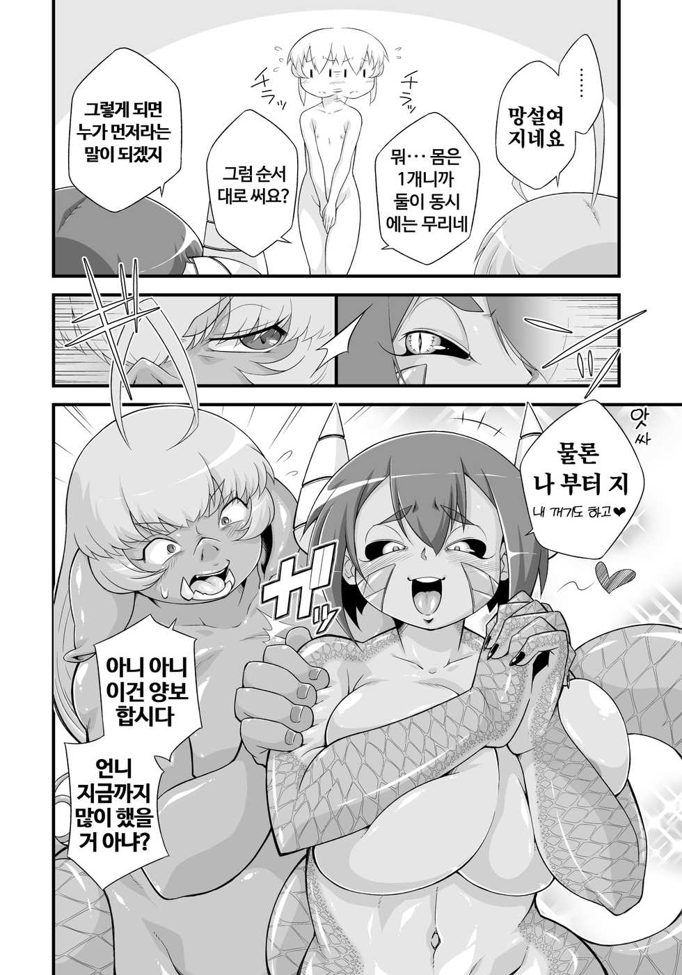 [Yarakashidan (Nijou Tayun)] Mamono ga Katte ni Tsuite Kuru! 3 | 마물이 멋대로 따라와! 3 [Korean] - Page 12