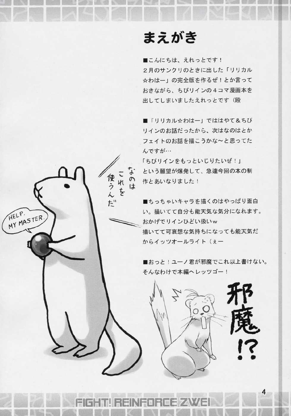 (COMIC1) [Utsura Uraraka (Eretto)] Rein Ganbaru desu! (Mahou Shoujo Lyrical Nanoha StrikerS) - Page 3