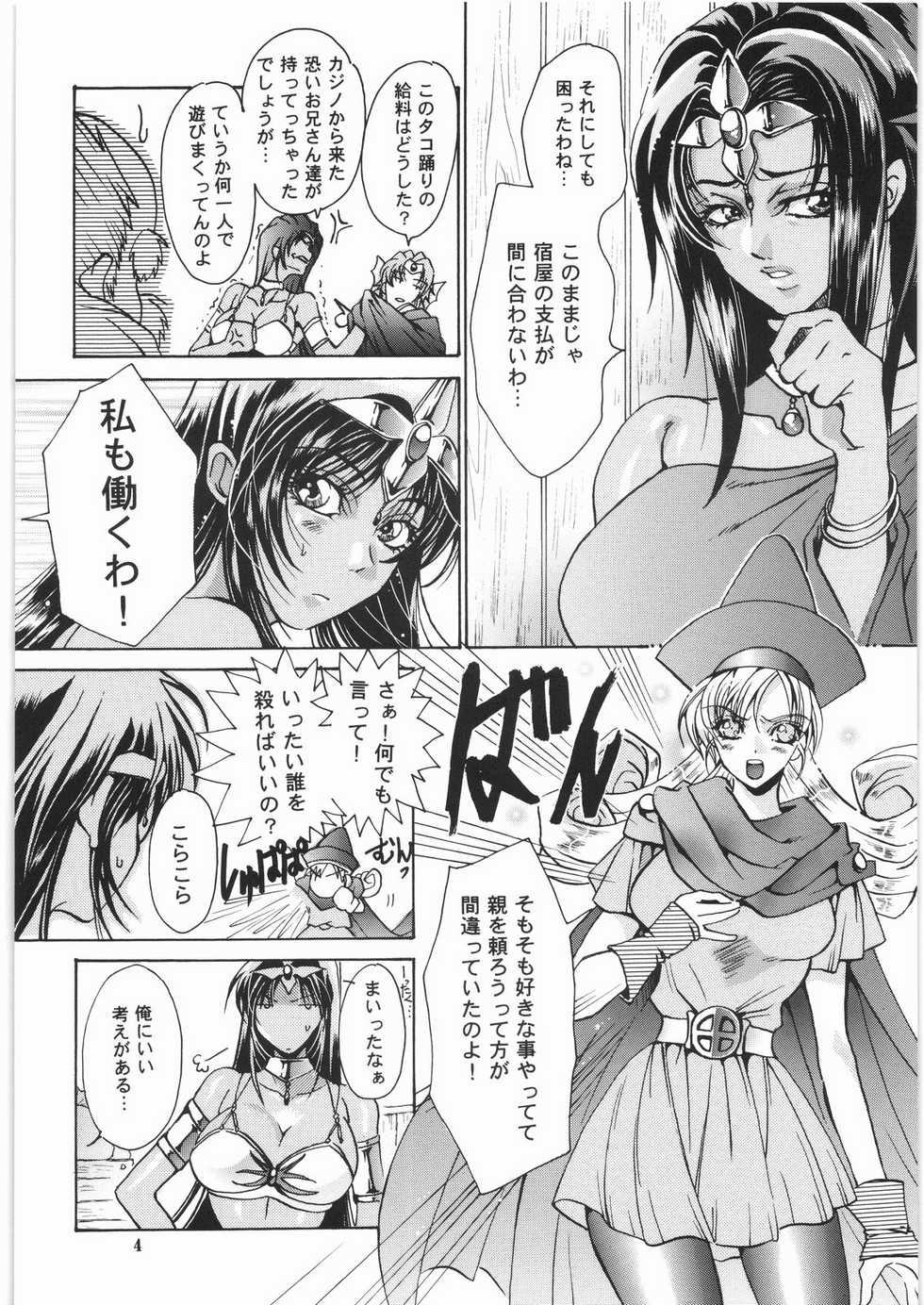 [SFT (Kawakami Takashi, Itou Nozomi)] Kuro to Shiro (Dragon Quest IV, Samurai Warriors 2) - Page 3