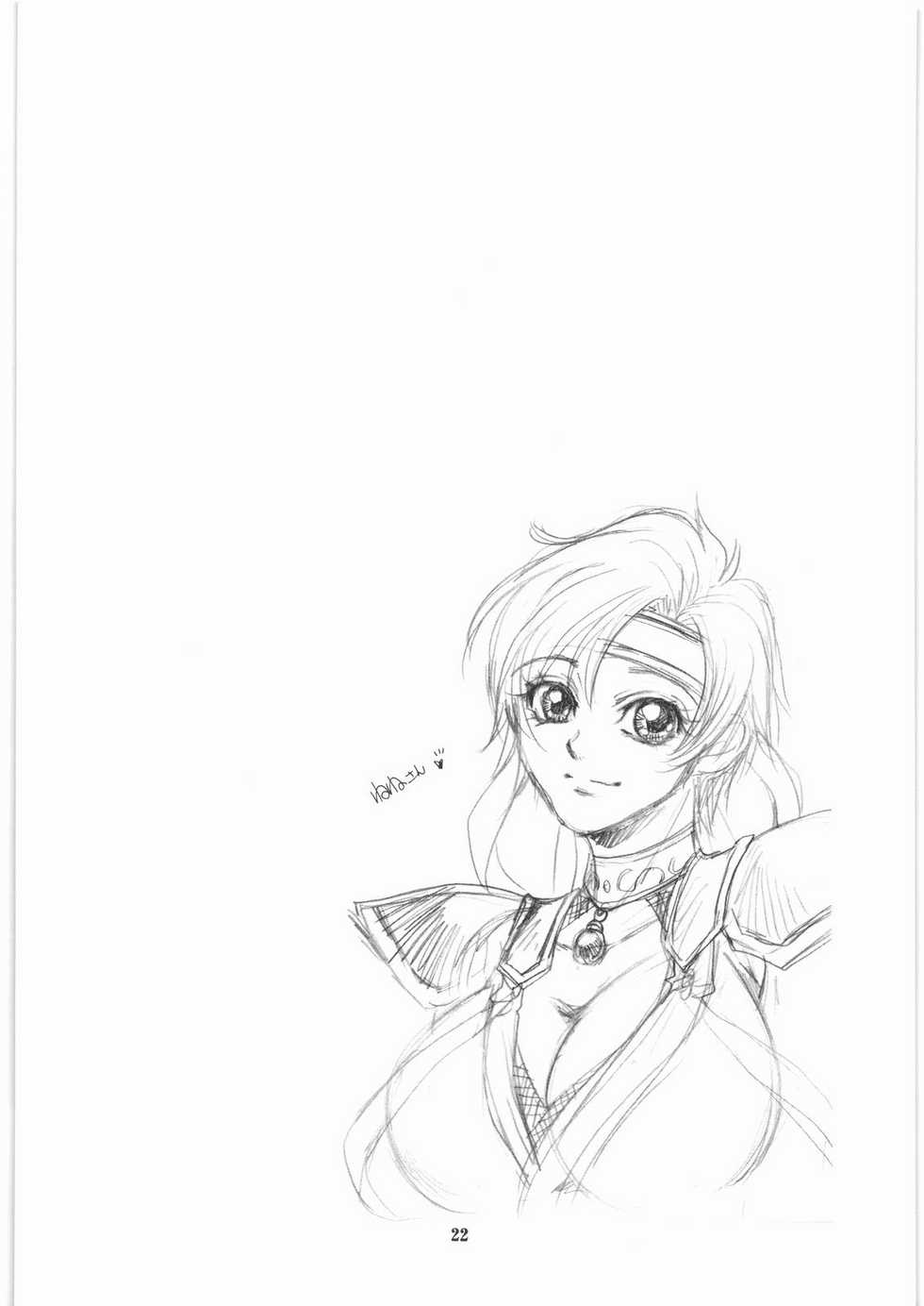 [SFT (Kawakami Takashi, Itou Nozomi)] Kuro to Shiro (Dragon Quest IV, Samurai Warriors 2) - Page 21