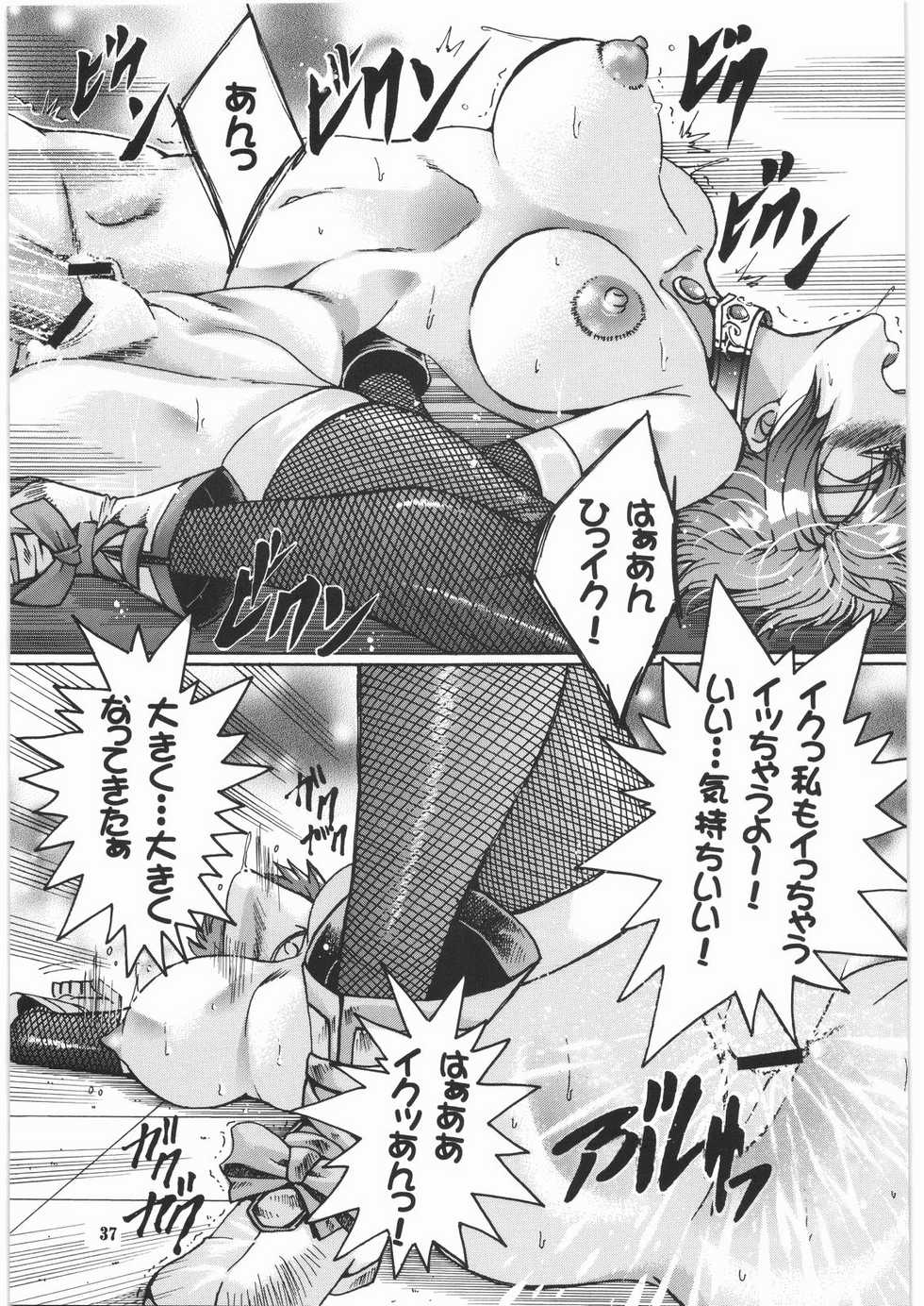 [SFT (Kawakami Takashi, Itou Nozomi)] Kuro to Shiro (Dragon Quest IV, Samurai Warriors 2) - Page 36