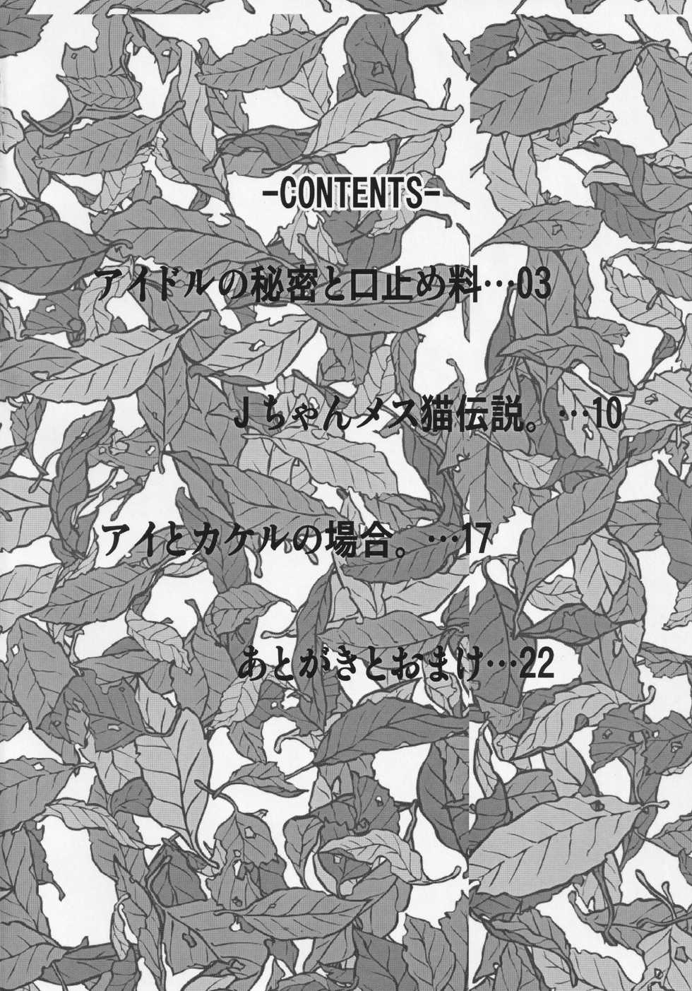 [RIBI Dou (Higata Akatsuki)] Seiteki na Nichiyou Anime Bon (Battle Spirits) - Page 3