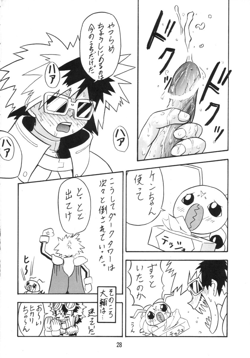 (C58) [Ab Normal (New Ab)] ZERO TWO (Digimon Adventure 02) - Page 27