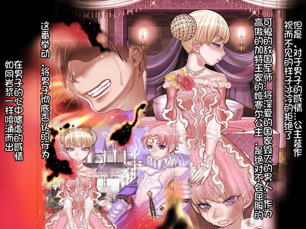 [pinkjoe] Houshuu no Himegimi Princess Super Slut 3 [Chinese] [我不看本子个人汉化] - Page 8