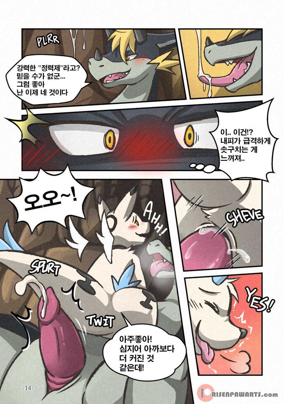 [Risenpaw] Out of Control │통제 불능 - Page 13