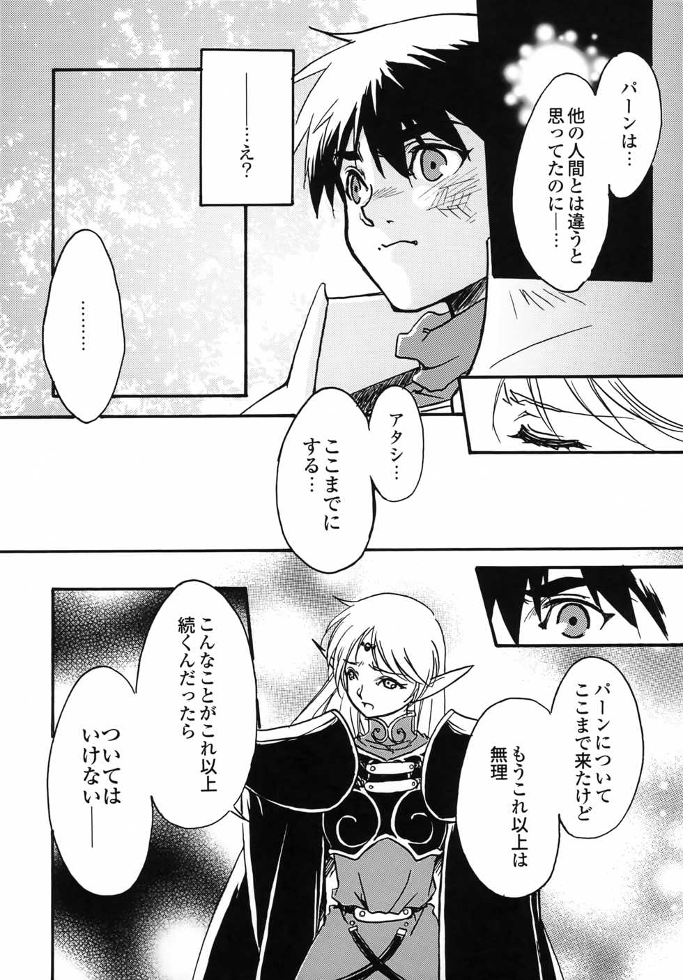 [Yorozu COMPANY (Tachibana Ruri)] another grey day in the big blue world (Record of Lodoss War) - Page 21