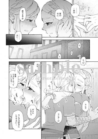 (SUPER ALL STAR 2021) [CURSOR (Satou)] Ashita to sonogo no watashi-tachi (The Legend of Zelda) [Sample] - Page 10
