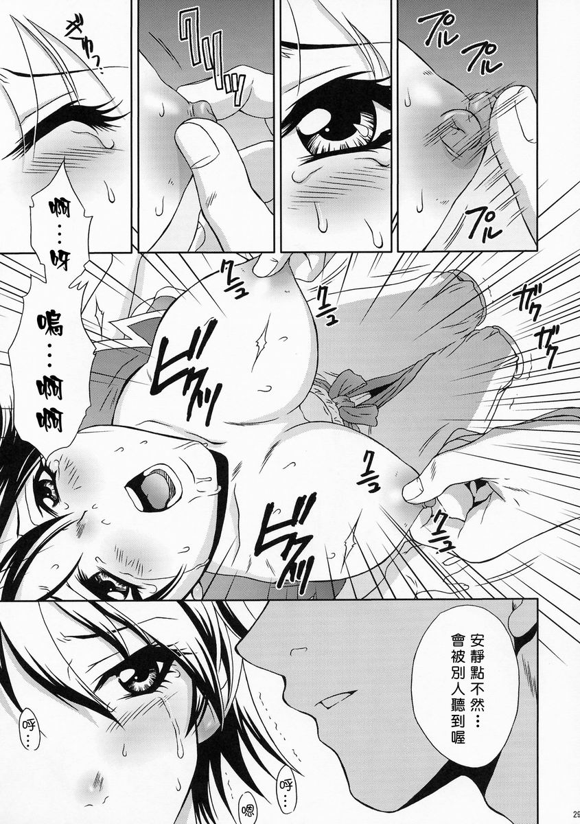 (C66) [U.R.C (MOMOYA SHOW-NEKO)] Rikuson-chan ~Lovely Gunshi no Himitsu~ (Dynasty Warriors) [Chinese] - Page 28