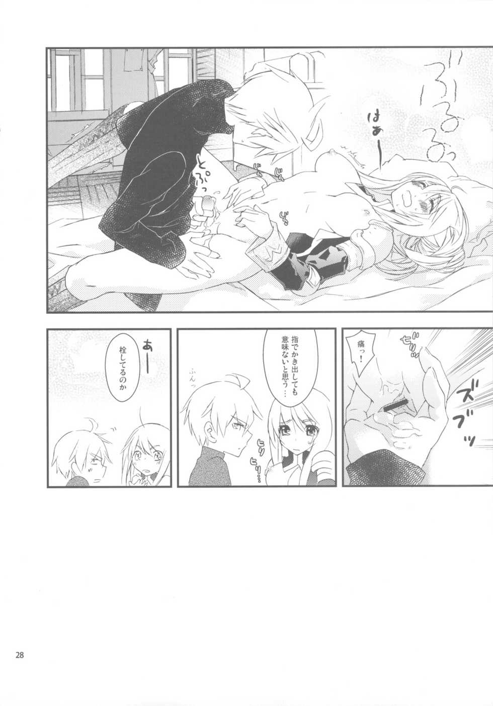(C77) [Annin (Tooka)] Hakanai Mono (Final Fantasy Tactics) - Page 28