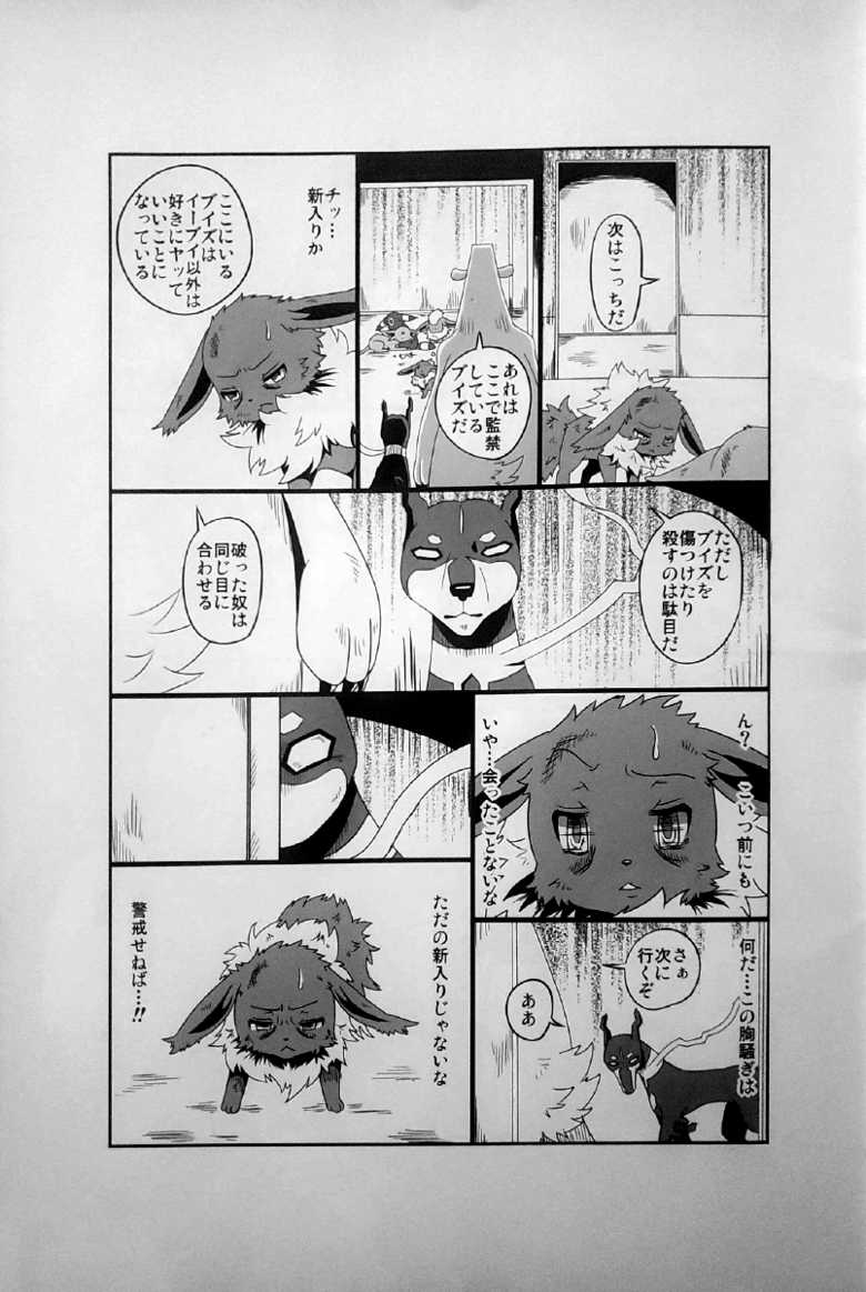 (Kemoket 5) [Kousyoudou (Bakugatou)] Taika no Utage Ni (Pokémon) - Page 12