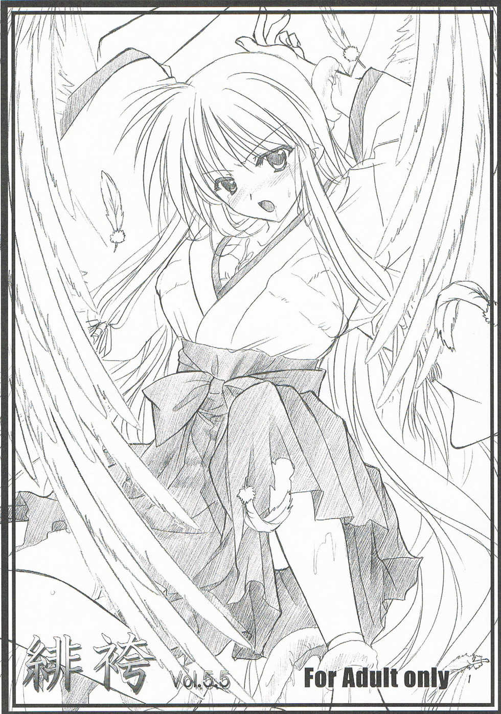 (C77) [Hiiwaraigeki (Yamamoto Kazue)] Hi Hakama vol 5.5 Short - Page 1