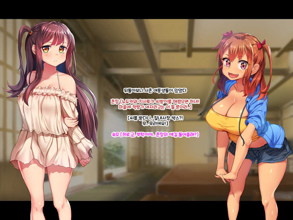 [Toriihime (Kokuu Rikishi)] Inaka ni Ittara Mucchiko Itoko o Haramasu Made Kaerenakunatta!! | 시골에 갔더니 무지한 사촌 자매를 임신시킬 때까지 돌아갈 수 없게 되었다!! [Korean] - Page 9
