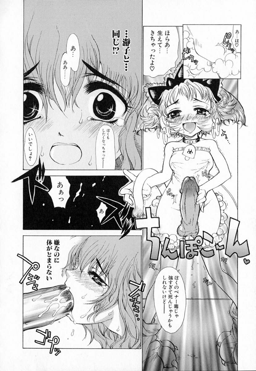 [Sakakibara Kaorunaoko] Astro Maid - Page 33