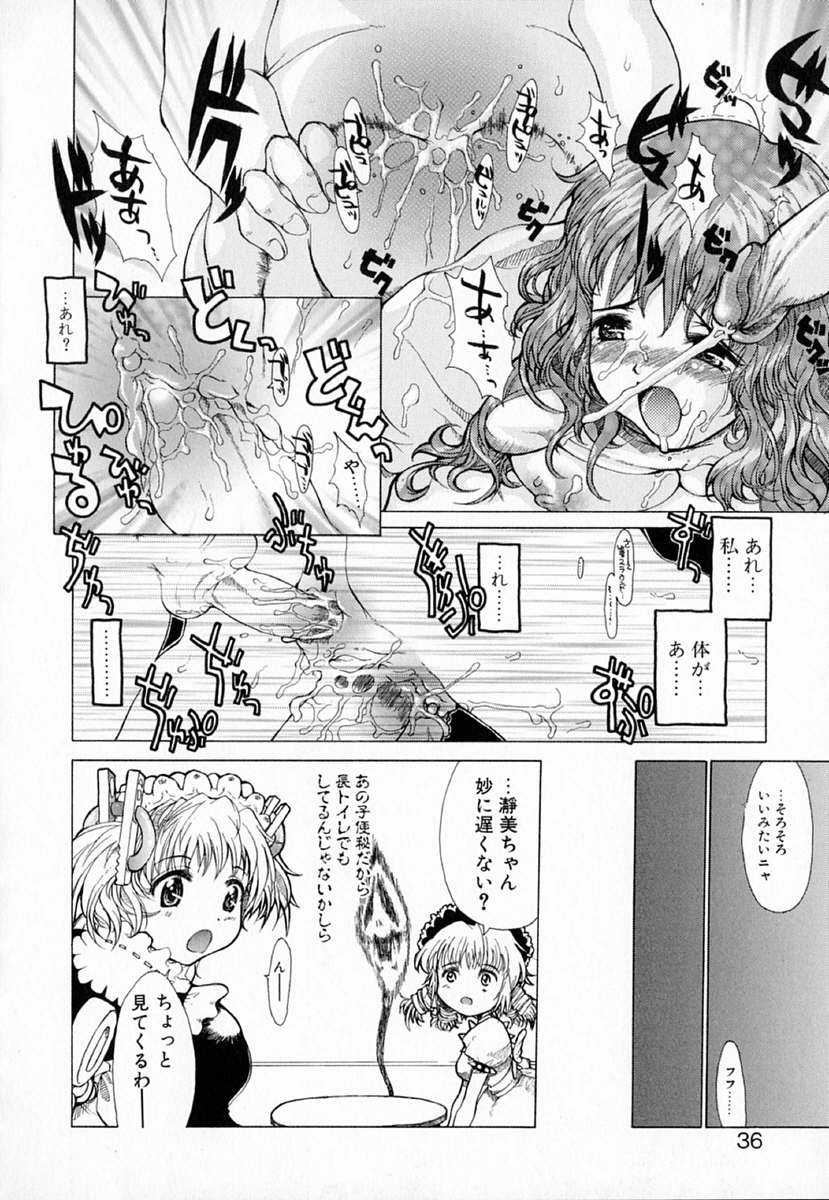 [Sakakibara Kaorunaoko] Astro Maid - Page 35