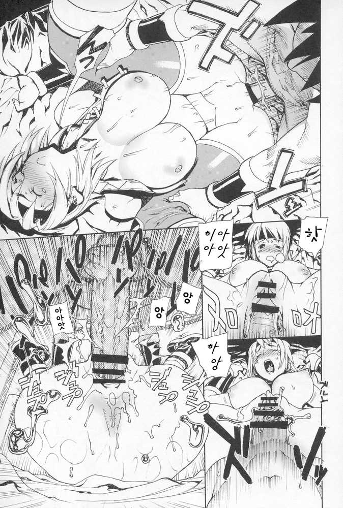 (C68) [Dorepooru (Leopard)] Leopard Hon 8 | 레오파드 책 8 (Beet the Vandel Buster) [Korean] - Page 14