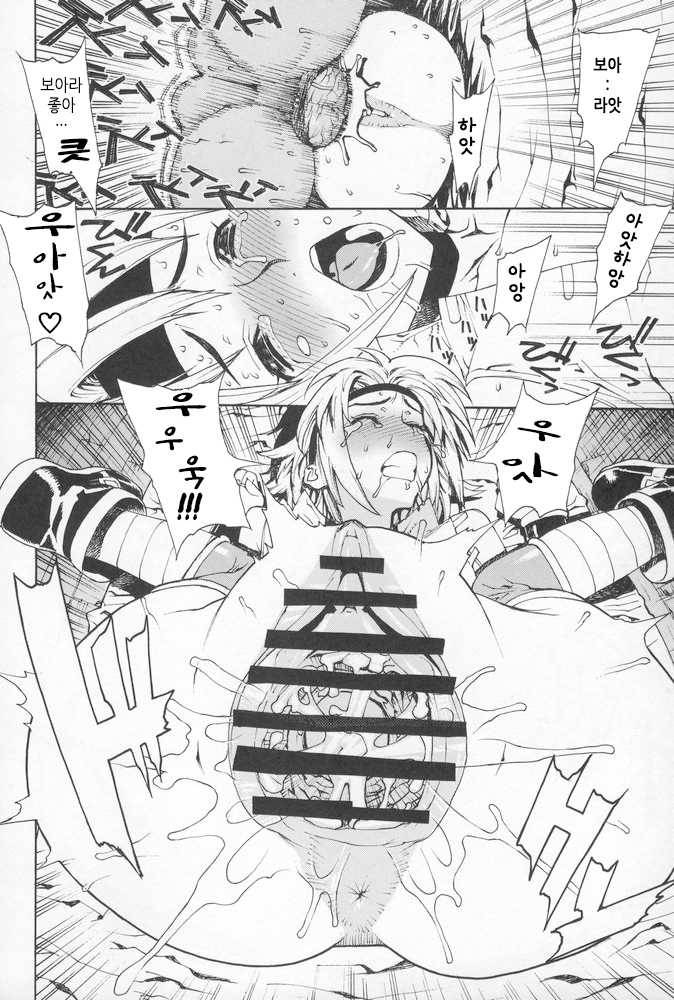 (C68) [Dorepooru (Leopard)] Leopard Hon 8 | 레오파드 책 8 (Beet the Vandel Buster) [Korean] - Page 17