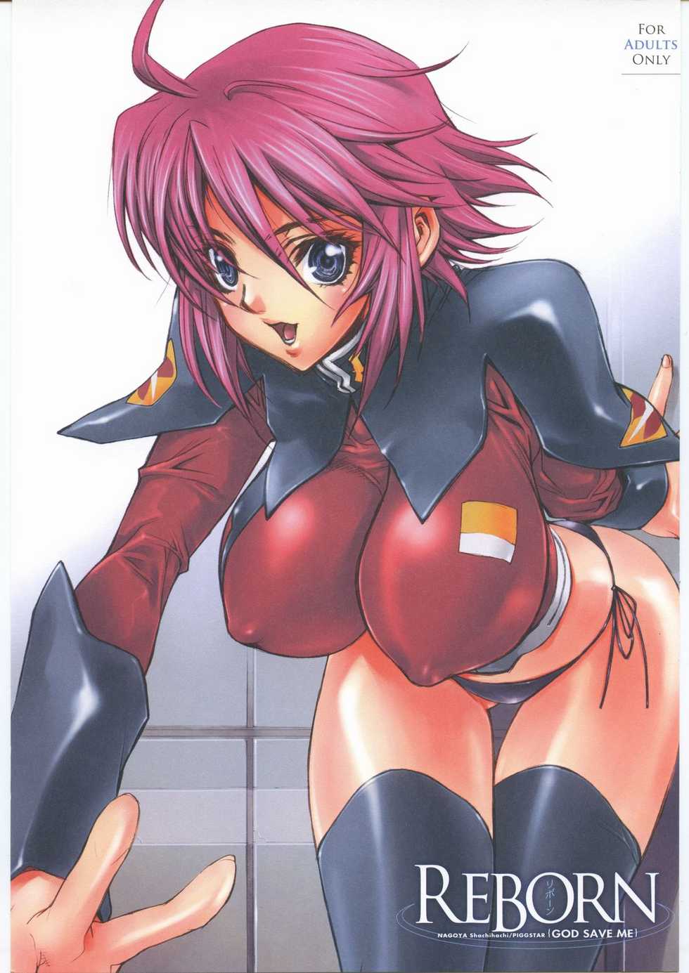 [PIGGSTAR (Nagoya Shachihachi)] REBORN (Gundam SEED Destiny) - Page 1