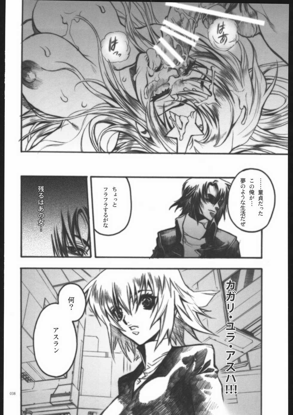 [PIGGSTAR (Nagoya Shachihachi)] REBORN (Gundam SEED Destiny) - Page 37