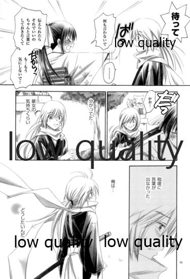 (C84) [Yamaguchirou (Yamaguchi Shinji)] RYUHA 6 (Rurouni Kenshin) - Page 14