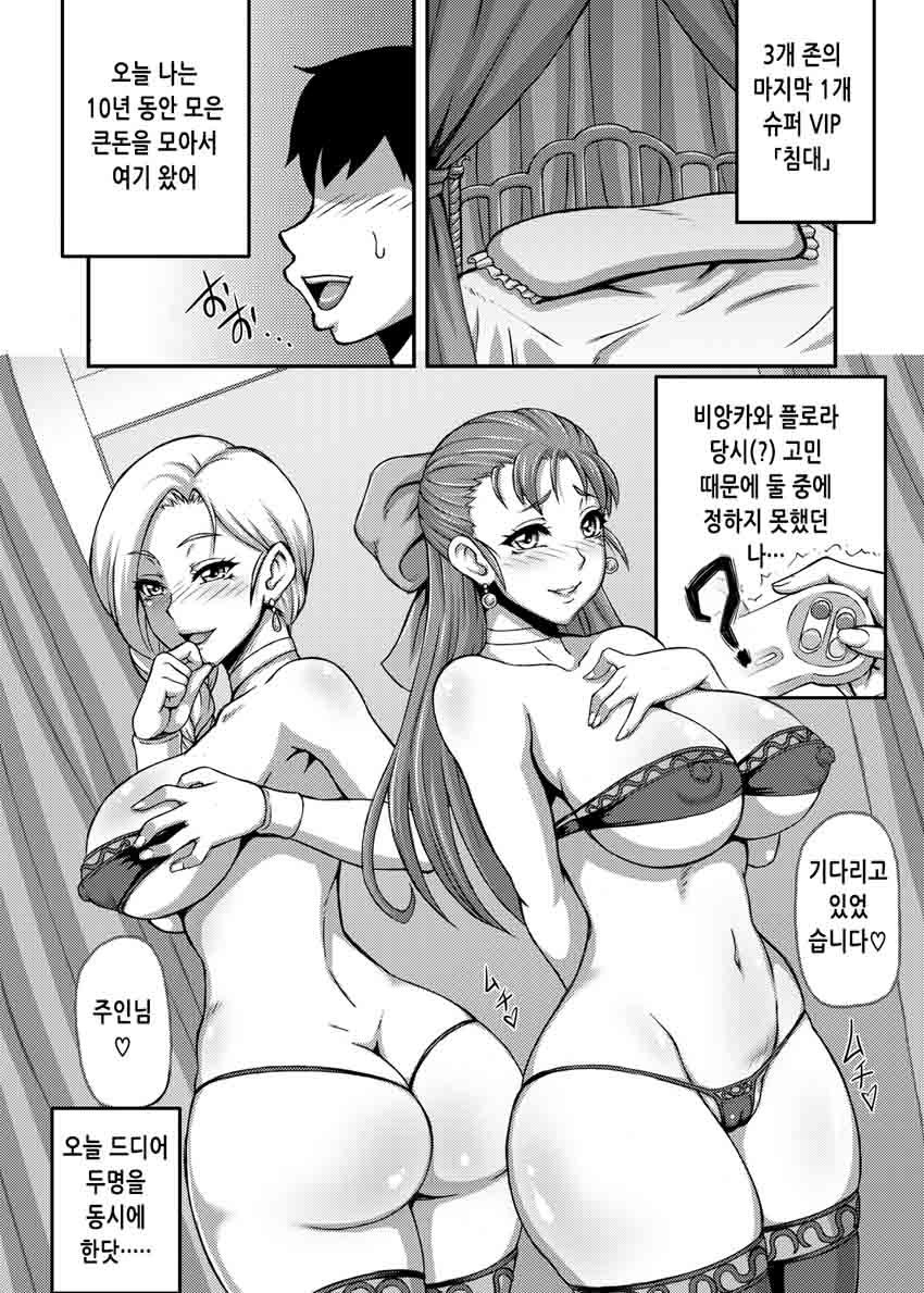[Motsu Ryouri (Motsu)] Dragon Queen's (Dragon Quest) [korean] [Digital] - Page 11