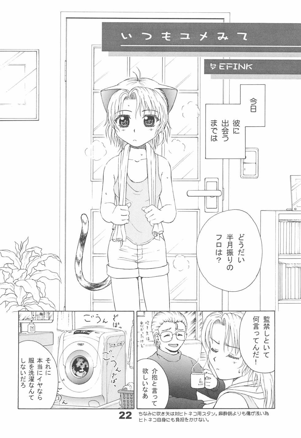 (C61) [Tenny Le Tai (R-Koga, EFINK)] Neko Maid A GO GO! - Page 24