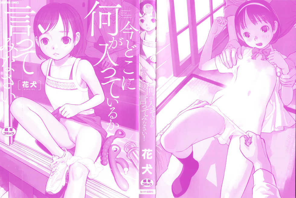 [Hanainu] imadokoni naniga haitteiruka itteminasai! | 지금 어디에 뭐가 들어가 있는지 말해봐라 [Korean] - Page 3