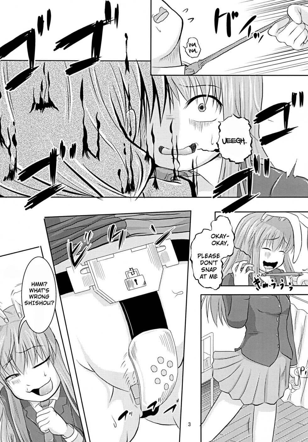 [Kakuu Byoutou (Butsuri Neko)] Shishou Ana (Touhou Project) [English] [hardcase8translates] [Digital] - Page 4