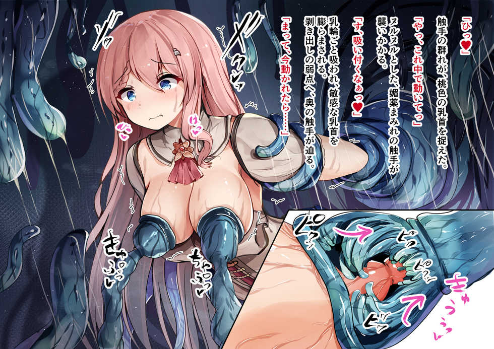 [YuraYuraseYuura (SeUra)] Shitei Boukensha to Bonyuu Naedoko Ochi Kaizou ~Ane no Karada wa Midara ni Ochiru Hen~ - Page 30
