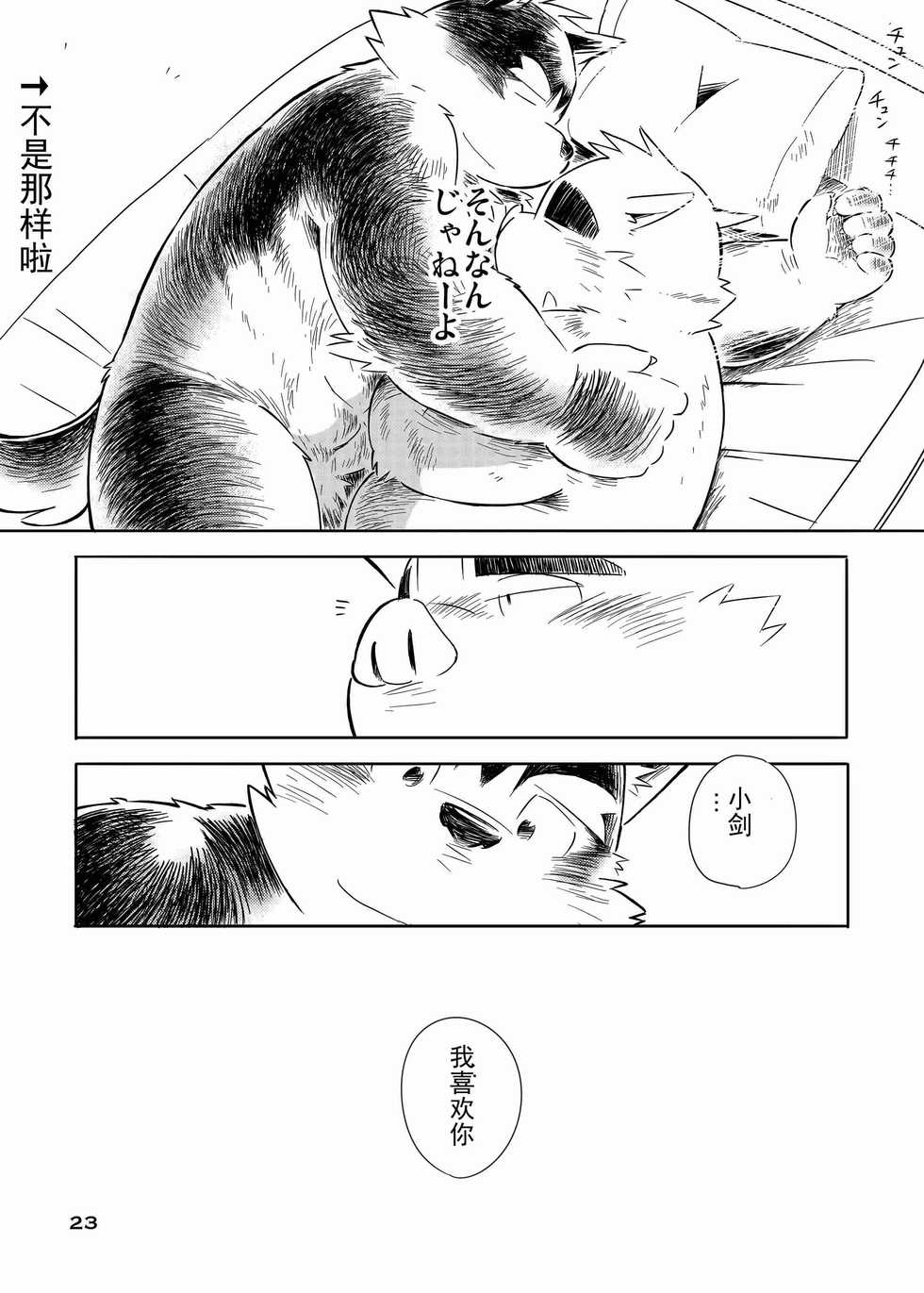 (Kemoket 3) [FCLG (Cheshire, Kajitsu, Jiroh)] Itazurateki Renai Manual [Chinese] [日曜日漢化組] - Page 23