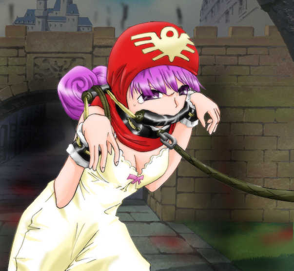 [Atelier Hachifukuan] Dot in Distress Vol.002 ~Princess of DQII~ (Dragon Quest II) - Page 15