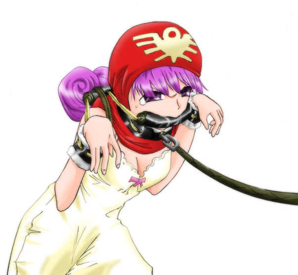 [Atelier Hachifukuan] Dot in Distress Vol.002 ~Princess of DQII~ (Dragon Quest II) - Page 29