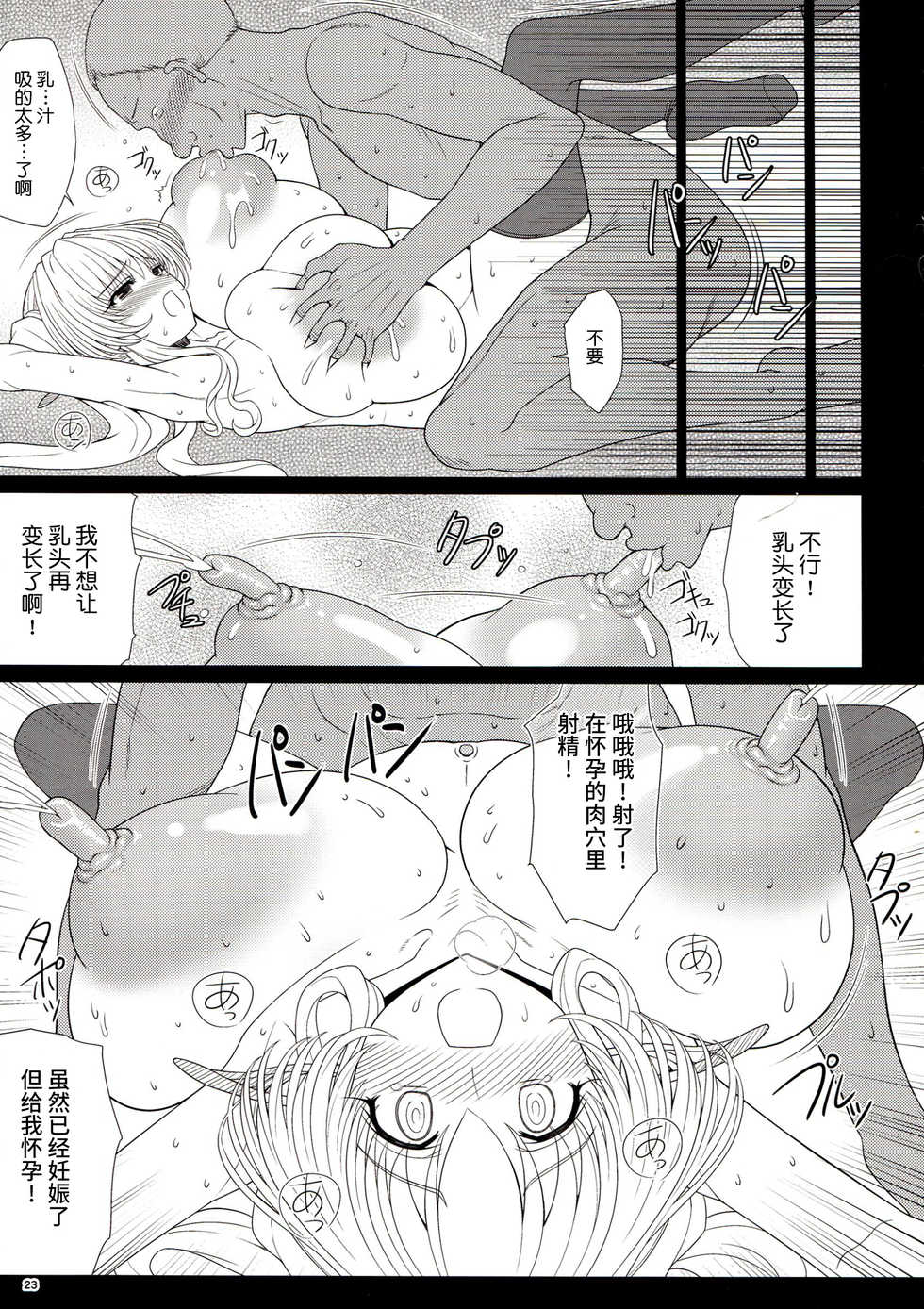 (C85) [Shoujo Kousaku (eltole)] El toiu Shoujo no Monogatari X1 [Chinese] [牛肝菌汉化] - Page 24