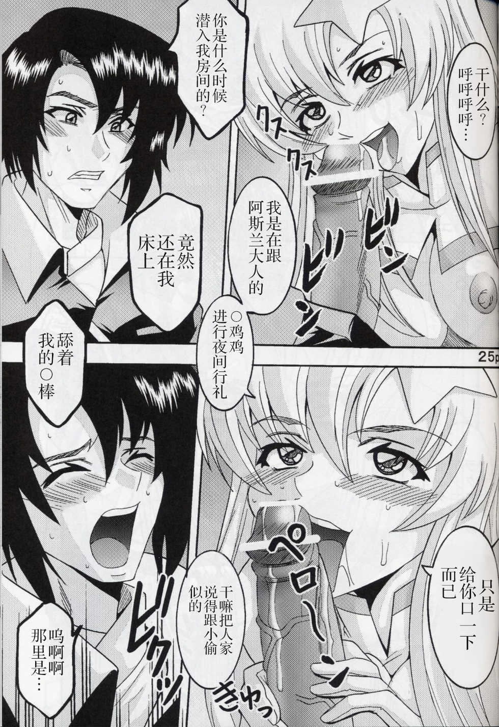 [St. Rio (Kitty, Kouenji Rei)] COSMIC BREED 5 (Gundam SEED DESTINY) [Chinese] [零食汉化组] - Page 27