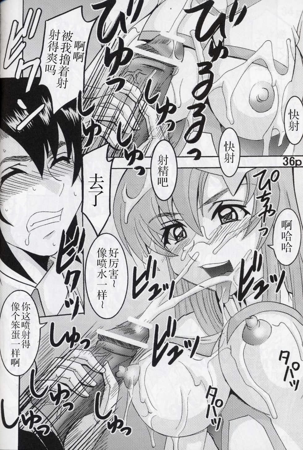 [St. Rio (Kitty, Kouenji Rei)] COSMIC BREED 5 (Gundam SEED DESTINY) [Chinese] [零食汉化组] - Page 38