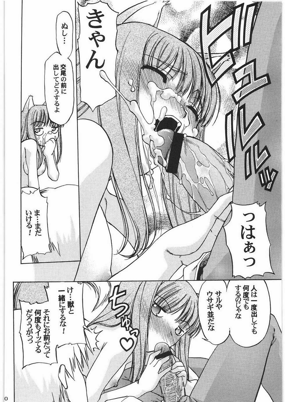 (C76) [Kacchuu Musume (Hisahiko, Shimamoto Harumi)] Smalt Leather (Spice and Wolf) - Page 19