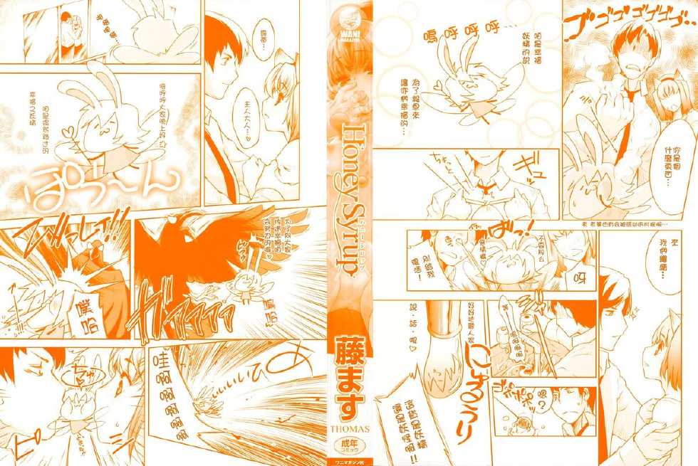 [Thomas] Honey Syrup [chinese] [天鹅之恋汉化组] - Page 2