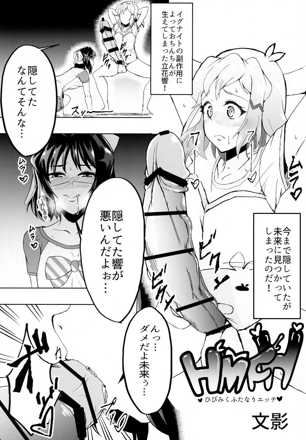 (AC3) [Hibi Miku Futanari no Kai ga Arawareta!! (Various)] Futari Duet (Senki Zessho Symphogear) - Page 19