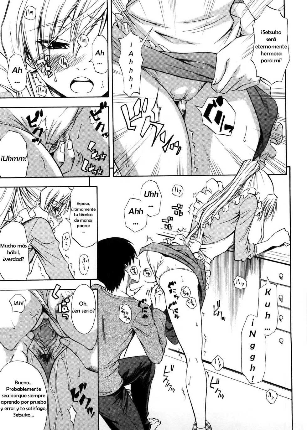 [Aoki Kanji] Niiduma Setsuko-san (Only You) [Spanish] [Shinigami no Fansub] [Decensored] - Page 11