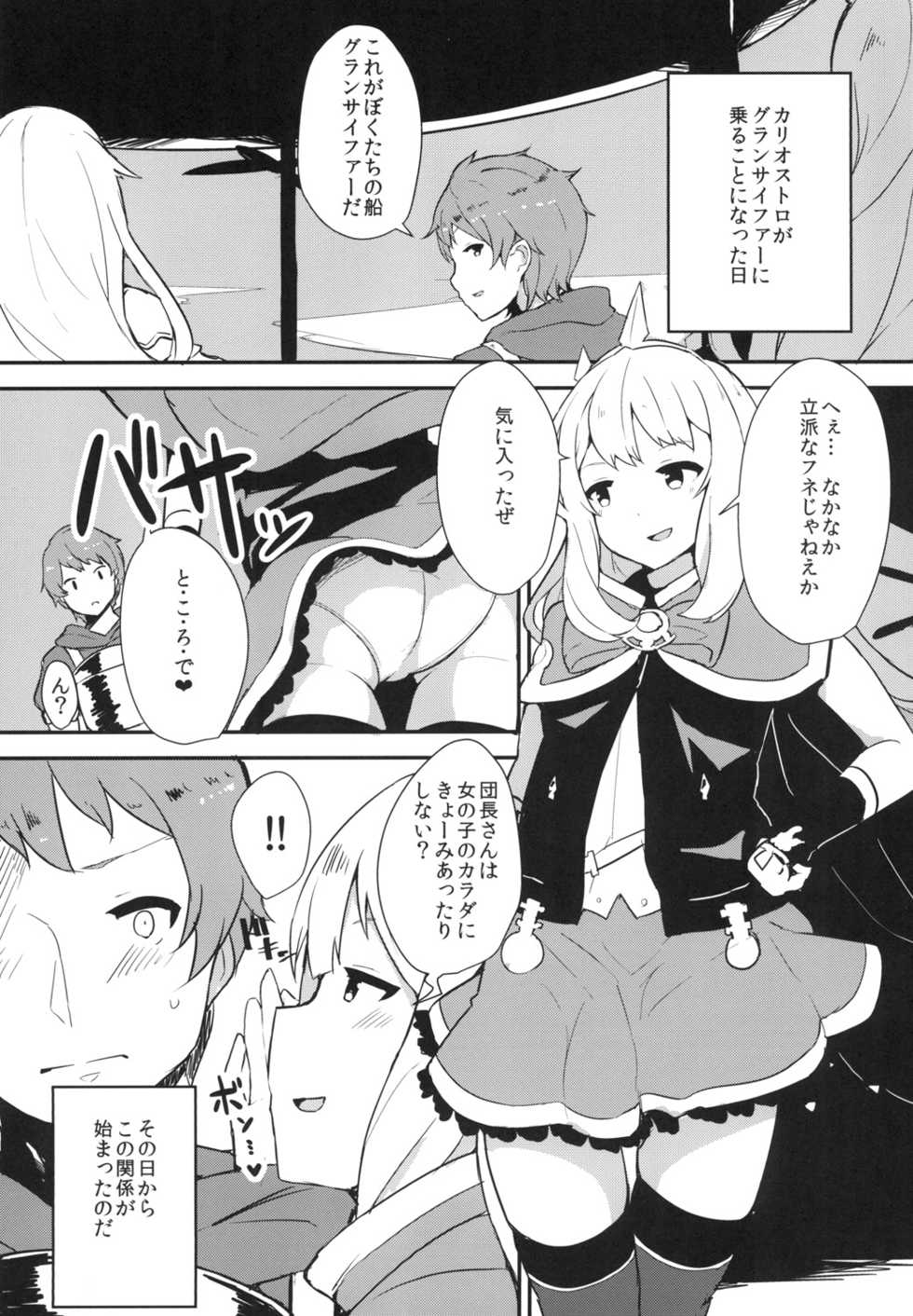 (SC2015 Autumn) [Low-F (wk.)] Cagliostro wa Seiyoku ga Tsuyoi Fantasy (Granblue Fantasy) - Page 3