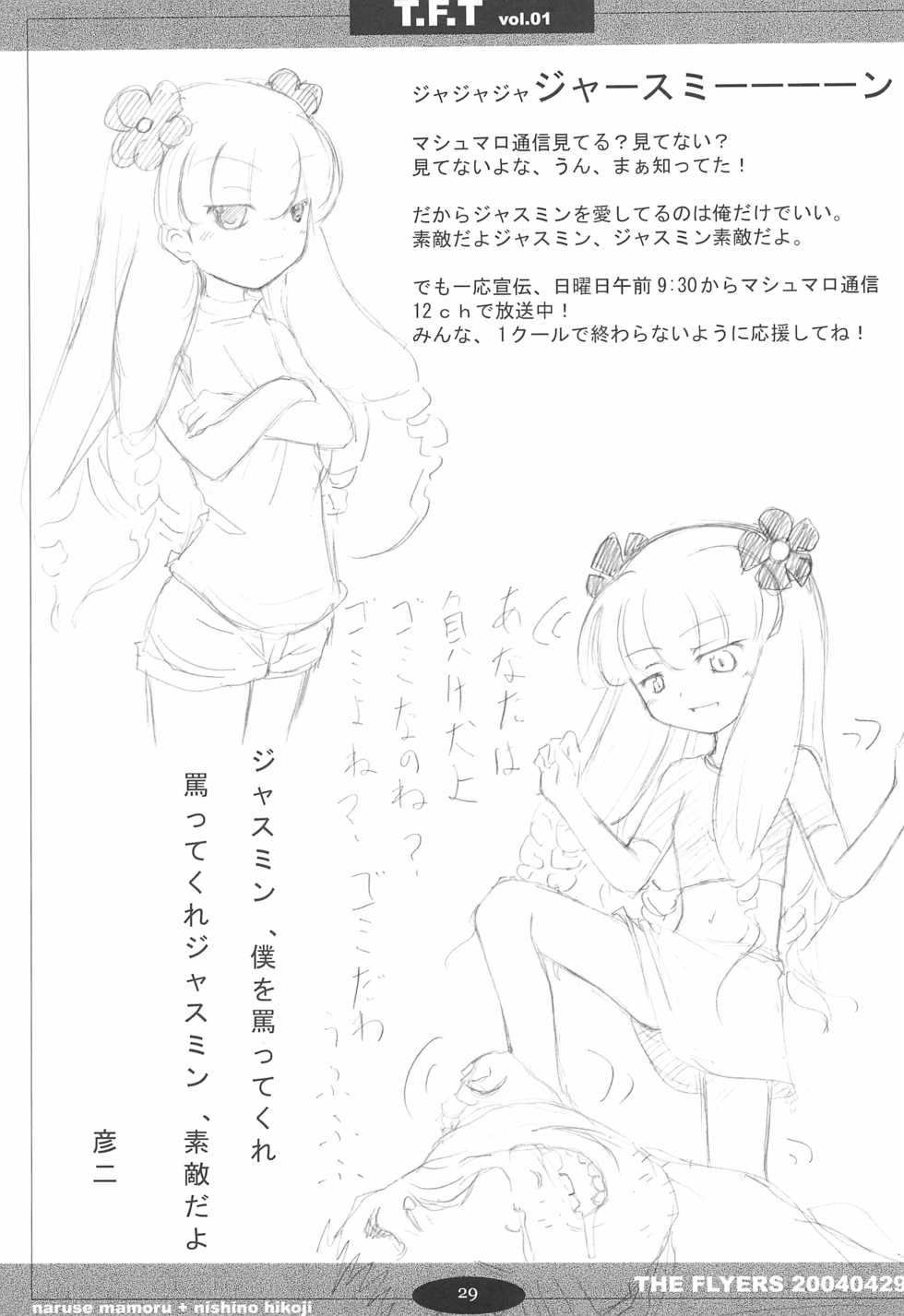 (CR35) [THE FLYERS (Naruse Mamoru, Nishino Hikodge)] T.F.T (Various) - Page 29