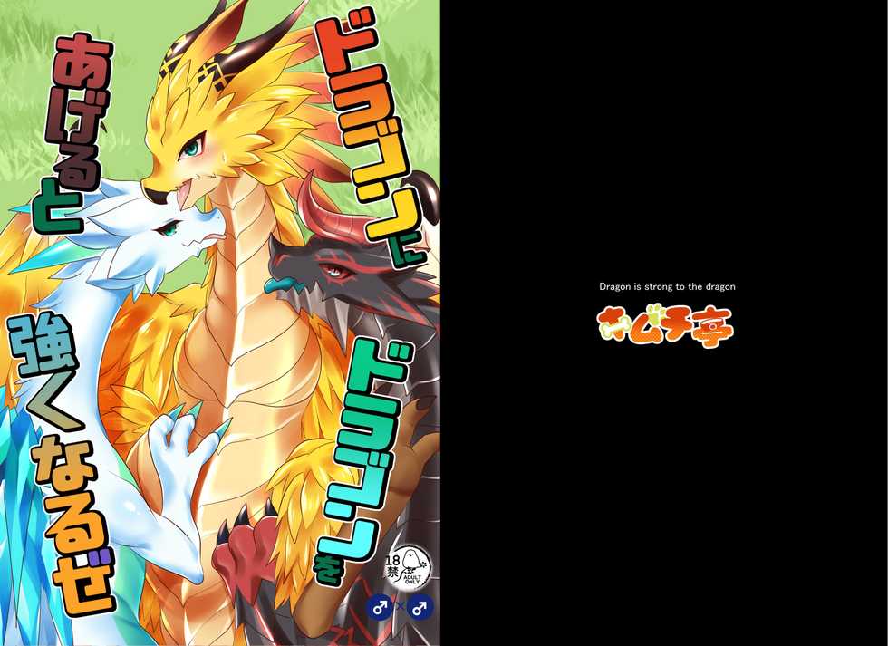 [Kimuchi-tei (Ruri Tsubame)] Dragon ni Dragon o Ageru to Tsuyoku Naru ze (Dragalia Lost) [Digital] - Page 1