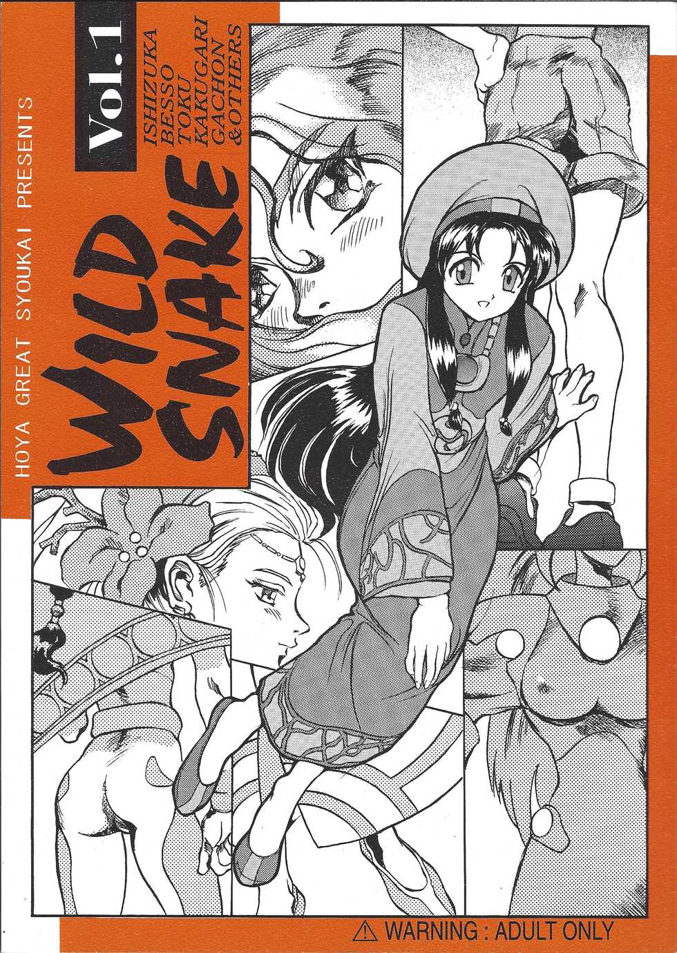 (C48) [Hoya GREAT Syoukai (Various)] WILD SNAKE Vol.1 (El Hazard) - Page 1