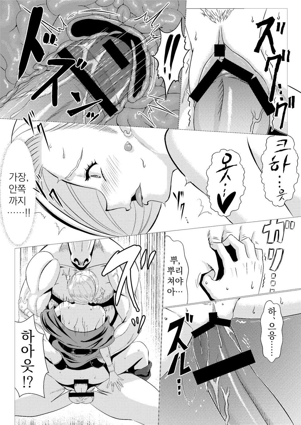 [Inja no Kuruwa (Huracan)] Uma Yome Hon (Dragon Quest V) [Korean] [Digital] - Page 13