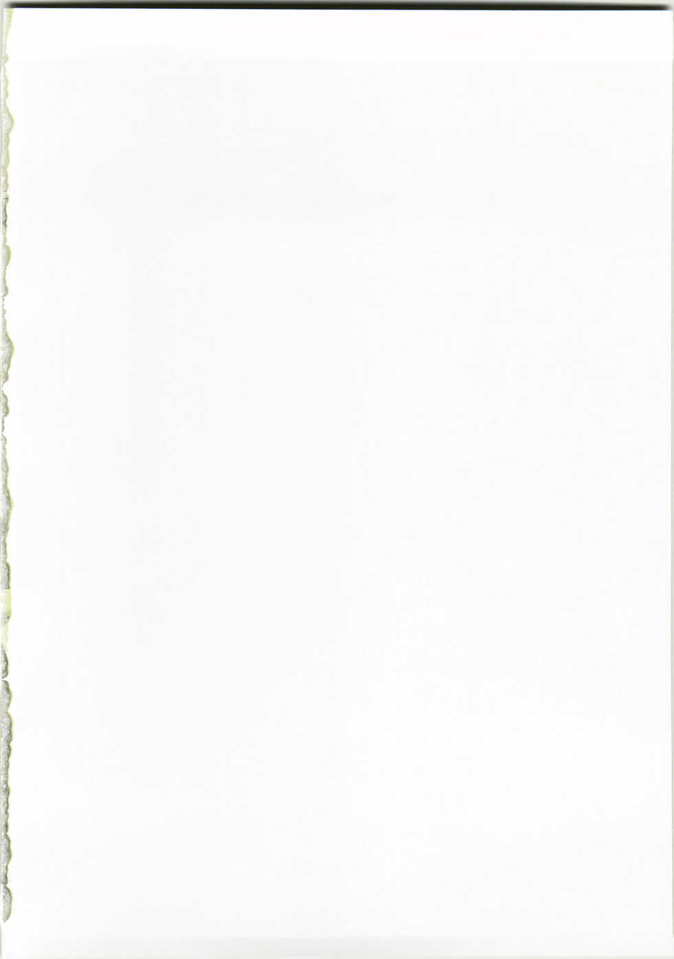 (C73) [Mikouken 2nd (Kutsugen Kanna)] Ankoiri Pasta Rice Teishoku ~Shikyouken no Kyoufu no Maki~ (Bamboo Blade) - Page 2